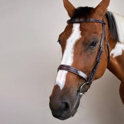 Bridon Hunter US Collection by Dy'on Brun Marron