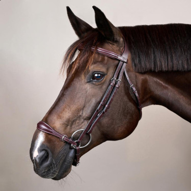 Bridon Muserolle Allemande Ajustable New English Collection by Dy'on Brun Marron