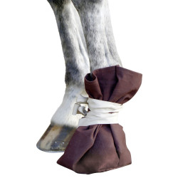 Chaussure de traitement Covalliero Chaussure de traitement Covalliero