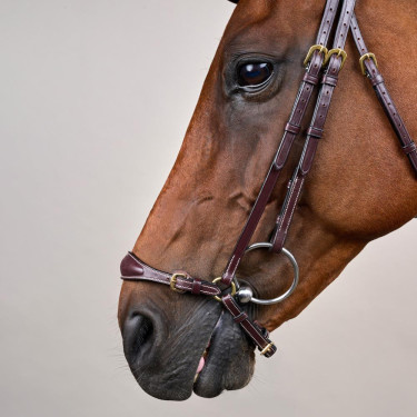 Bridon Muserolle Allemande Ajustable D Collection by Dy'on