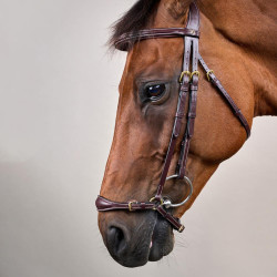 Bridon Muserolle Allemande Ajustable D Collection by Dy'on