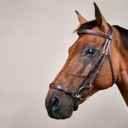 Bridon Muserolle Allemande Ajustable D Collection by Dy'on