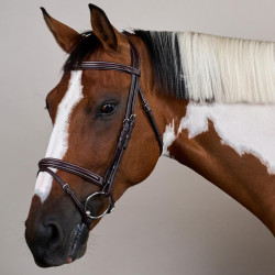 Bridon Muserolle Combinée US Collection by Dy'on