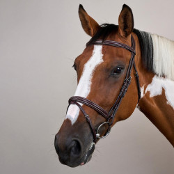 Bridon Muserolle Combinée US Collection by Dy'on