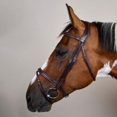 Bridon Muserolle Combinée US Collection by Dy'on