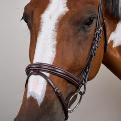 Bridon Muserolle Combinée US Collection by Dy'on