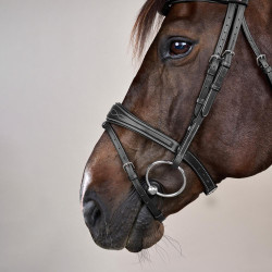 Bridon Muserolle Combinée Anatomique US Collection by Dy'on Noir