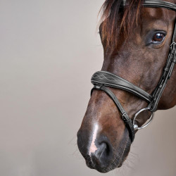 Bridon Muserolle Combinée Anatomique US Collection by Dy'on Noir