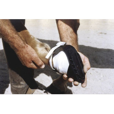 Sandale pour sabots Shoof Covalliero Sandale pour sabots Shoof Covalliero