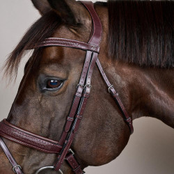 Bridon muserolle combinée tressé avec Pull Back Dy'on New English Collection Marron Bridon muserolle combinée tressé avec Pull Back Dy'on New English Collection Marron