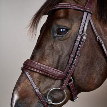 Bridon muserolle combinée tressé avec Pull Back Dy'on New English Collection Marron Bridon muserolle combinée tressé avec Pull Back Dy'on New English Collection Marron