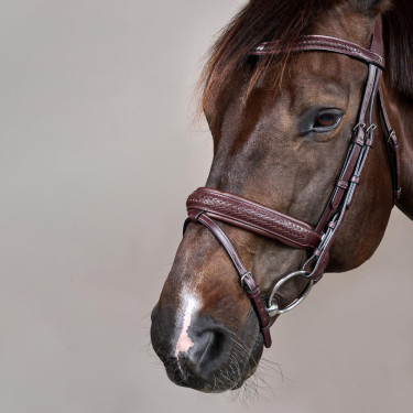 Bridon muserolle combinée tressé avec Pull Back Dy'on New English Collection Marron Bridon muserolle combinée tressé avec Pull Back Dy'on New English Collection Marron