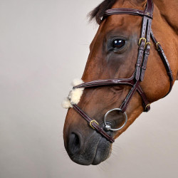 Bridon Muserolle Croisée D Collection by Dy'on