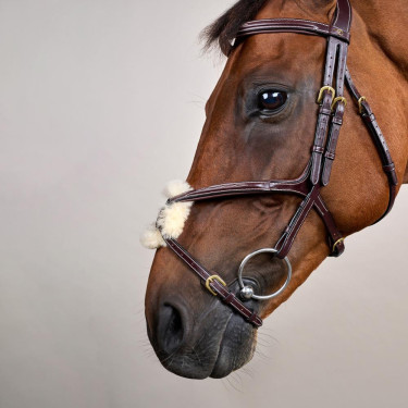 Bridon Muserolle Croisée D Collection by Dy'on