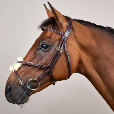 Bridon Muserolle Croisée D Collection by Dy'on