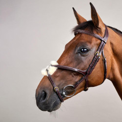 Bridon Muserolle Croisée D Collection by Dy'on