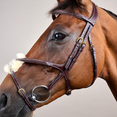 Bridon Muserolle Croisée D Collection by Dy'on