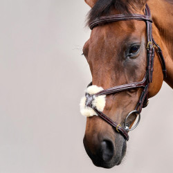 Bridon Muserolle Croisée D Collection by Dy'on