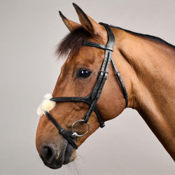 Bridon Muserolle Croisée New English Collection by Dy'on Noir Bridon Muserolle Croisée New English Collection by Dy'on Noir