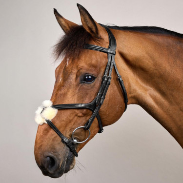 Bridon Muserolle Croisée New English Collection by Dy'on Noir Bridon Muserolle Croisée New English Collection by Dy'on Noir