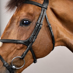 Bridon Muserolle Croisée New English Collection by Dy'on Noir Bridon Muserolle Croisée New English Collection by Dy'on Noir