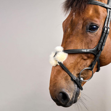 Bridon Muserolle Croisée New English Collection by Dy'on Noir Bridon Muserolle Croisée New English Collection by Dy'on Noir