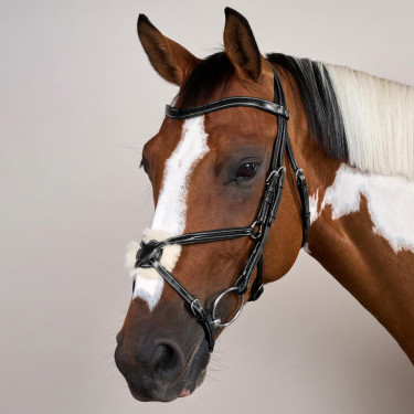 Bridon Muserolle Croisée Working By Dy'on Noir