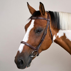 Bridon Muserolle Française US Collection by Dy'on Bridon Muserolle Française US Collection by Dy'on