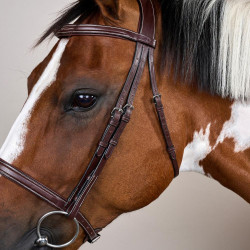 Bridon Muserolle Française US Collection by Dy'on Bridon Muserolle Française US Collection by Dy'on