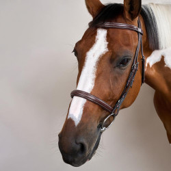 Bridon Muserolle Française US Collection by Dy'on Bridon Muserolle Française US Collection by Dy'on