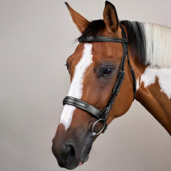 Bridon Muserolle Large Hunter US Collection by Dy'on Noir