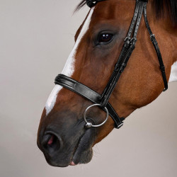 Bridon Muserolle Large Hunter US Collection by Dy'on Noir