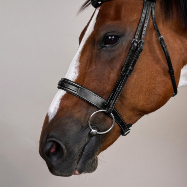 Bridon Muserolle Large Hunter US Collection by Dy'on Noir