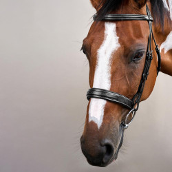 Bridon Muserolle Large Hunter US Collection by Dy'on Noir