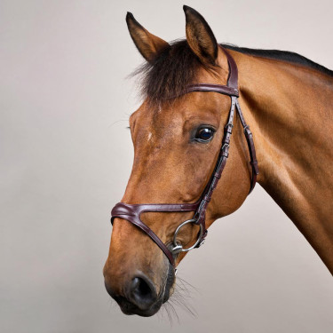 Bridon X-Fit New English Collection by Dy'on