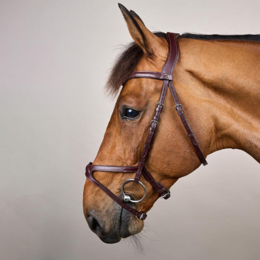 Bridon X-Fit New English Collection by Dy'on