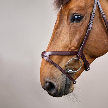 Bridon X-Fit New English Collection by Dy'on