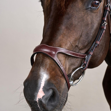 Bridon X-Fit US Collection by Dy'on