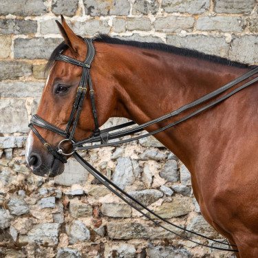 Rênes allemandes Full Leather 1/2 D Collection by Dy'on Noir Rênes allemandes Full Leather 1/2 D Collection by Dy'on Noir