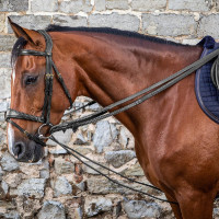 Rênes allemandes Leather/Nylon 5/8 D Collection by Dy'on Noir