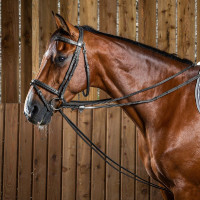 Rênes allemandes Full Leather 1/2 Working By Dy'on Noir