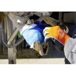 Rouleau d'ouate Rollino Kerbl