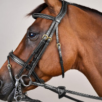 Bride Muserolle Combinée D Collection by Dy'on Noir