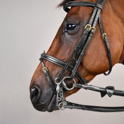 Bride Muserolle Combinée D Collection by Dy'on Noir