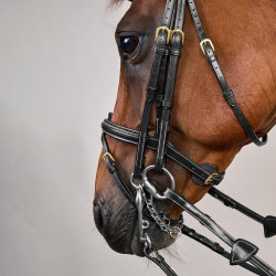 Bride Muserolle Combinée D Collection by Dy'on Noir