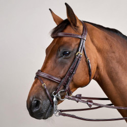 Bride Muserolle Combinée D Collection by Dy'on Brun Marron