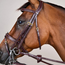 Bride Muserolle Combinée D Collection by Dy'on Brun Marron