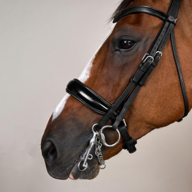 Bride Muserolle Large Vernie Working By Dy'on Noir