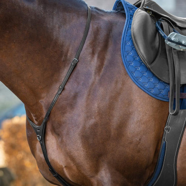 Yoke New English Collection by Dy'on