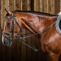 Gogue Nylon Ropes Working By Dy'on Noir